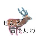 40個 奈良公園の鹿 敬語 関西弁 ＊asachi（個別スタンプ：20）