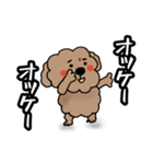 今を生きるトイプー。犬です。（個別スタンプ：8）