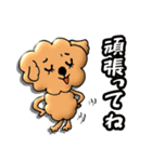 今を生きるトイプー。犬です。（個別スタンプ：25）