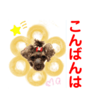 赤いりぼんスタッフわんニャンの日常会話（個別スタンプ：3）
