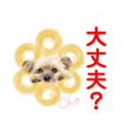赤いりぼんスタッフわんニャンの日常会話（個別スタンプ：5）