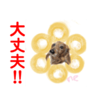 赤いりぼんスタッフわんニャンの日常会話（個別スタンプ：6）