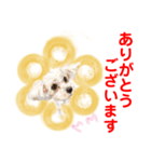 赤いりぼんスタッフわんニャンの日常会話（個別スタンプ：7）