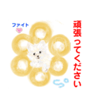 赤いりぼんスタッフわんニャンの日常会話（個別スタンプ：12）
