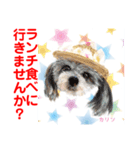 赤いりぼんスタッフわんニャンの日常会話（個別スタンプ：14）