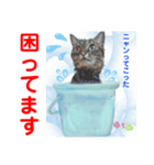 赤いりぼんスタッフわんニャンの日常会話（個別スタンプ：15）