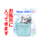 赤いりぼんスタッフわんニャンの日常会話（個別スタンプ：16）