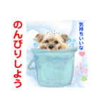 赤いりぼんスタッフわんニャンの日常会話（個別スタンプ：19）