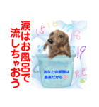 赤いりぼんスタッフわんニャンの日常会話（個別スタンプ：23）