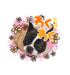 フレブルのHimeちゃん（個別スタンプ：5）