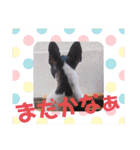 フレブルのHimeちゃん（個別スタンプ：17）