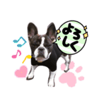 フレブルのHimeちゃん（個別スタンプ：21）