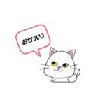 らんちゃんとドンちんとミー（個別スタンプ：4）