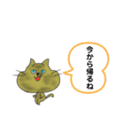 らんちゃんとドンちんとミー（個別スタンプ：25）