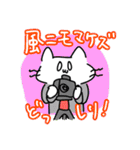 サツエイねこちゃ（個別スタンプ：8）