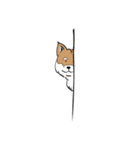 柴犬まさるのゆるい毎日（個別スタンプ：6）