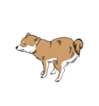 柴犬まさるのゆるい毎日（個別スタンプ：14）