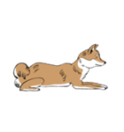 柴犬まさるのゆるい毎日（個別スタンプ：15）