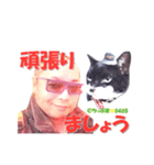ちっぷ家★0405④番外編（個別スタンプ：29）