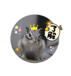 シマリスジャムと一緒（個別スタンプ：2）