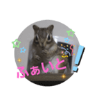 シマリスジャムと一緒（個別スタンプ：3）
