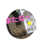 シマリスジャムと一緒（個別スタンプ：5）