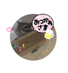 シマリスジャムと一緒（個別スタンプ：7）