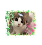 優稀ちゃんスタンプ3（個別スタンプ：2）