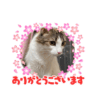 優稀ちゃんスタンプ3（個別スタンプ：4）
