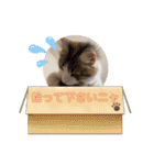優稀ちゃんスタンプ3（個別スタンプ：12）