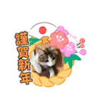優稀ちゃんスタンプ3（個別スタンプ：20）