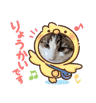 優稀ちゃんスタンプ3（個別スタンプ：22）