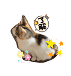 優稀ちゃんスタンプ3（個別スタンプ：28）