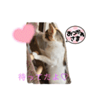 優稀ちゃんスタンプ3（個別スタンプ：30）