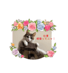 優稀ちゃんスタンプ3（個別スタンプ：33）