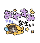 優稀ちゃんスタンプ3（個別スタンプ：36）
