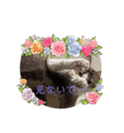 優稀ちゃんスタンプ3（個別スタンプ：37）
