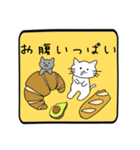 手書きのねこのスタンプ（個別スタンプ：40）