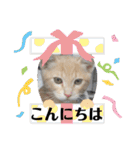 毎日むぎさん！（個別スタンプ：2）