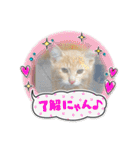 毎日むぎさん！（個別スタンプ：3）