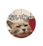 毎日むぎさん！（個別スタンプ：9）