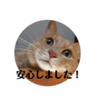 毎日むぎさん！（個別スタンプ：14）