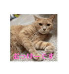 毎日むぎさん！（個別スタンプ：18）
