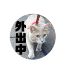 毎日むぎさん！（個別スタンプ：27）
