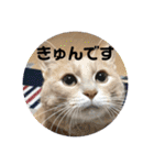 毎日むぎさん！（個別スタンプ：32）