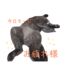 ゆぱす（個別スタンプ：5）