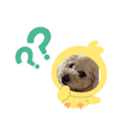 私はランコ3（個別スタンプ：4）