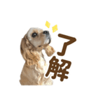 元気なここはちゃんの日常使えるスタンプ（個別スタンプ：2）