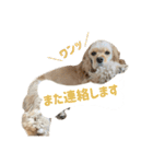 元気なここはちゃんの日常使えるスタンプ（個別スタンプ：4）