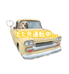 元気なここはちゃんの日常使えるスタンプ（個別スタンプ：5）